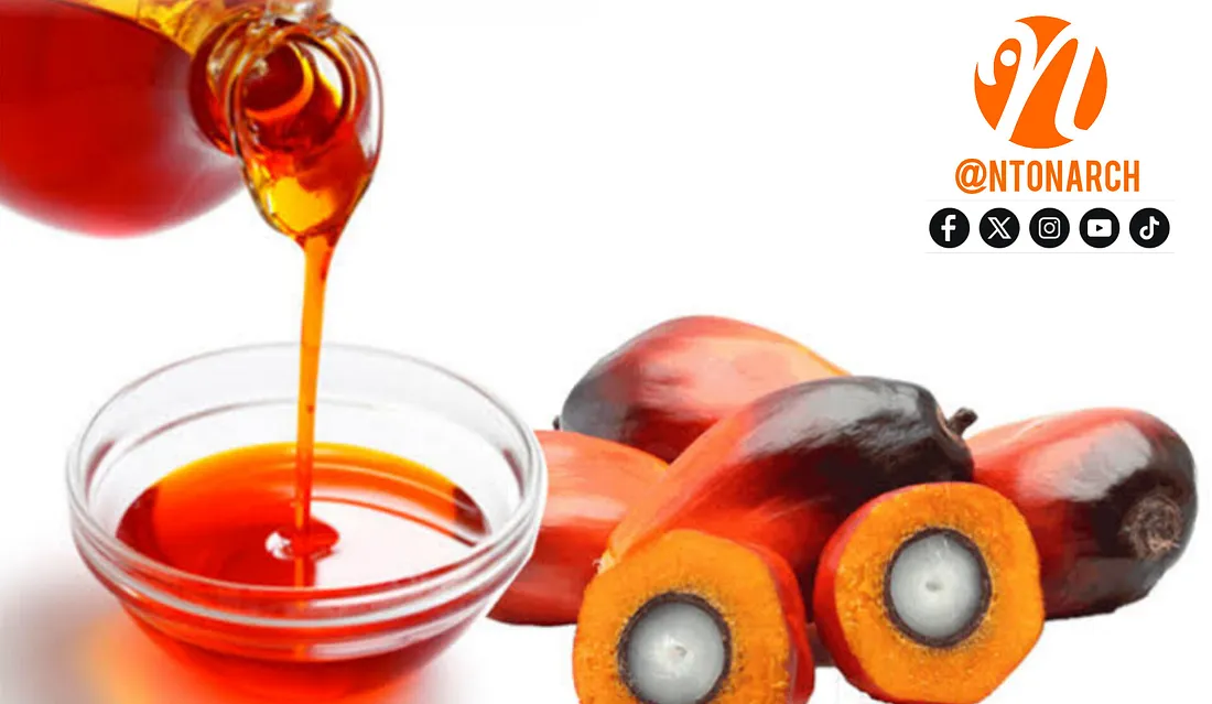Ntonarch Palm Oil